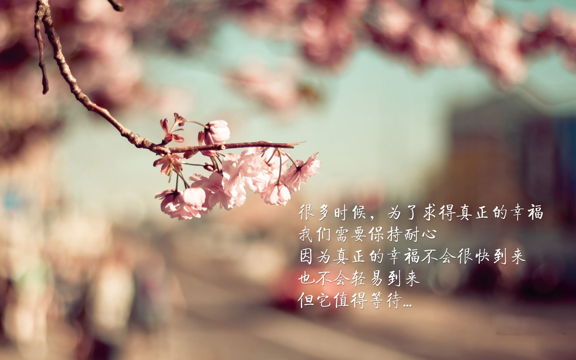 “海外留洋中国球员迎来新发展机遇”，中国队留洋球员