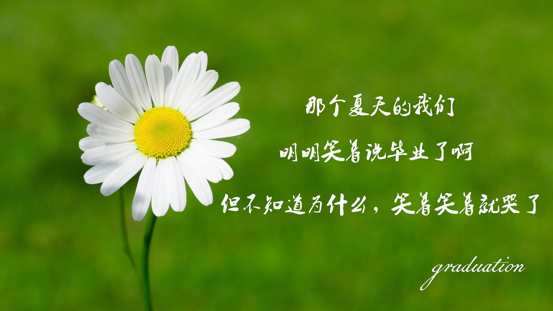 利兹联主场告捷，终结连败，球队新帅上任后首胜，利兹联队 球星