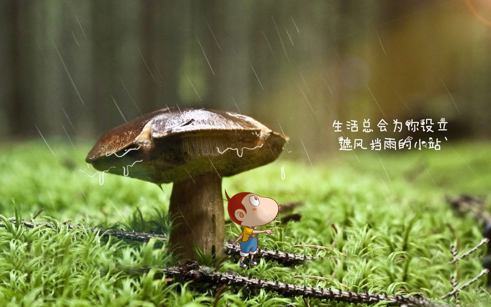 魔术师保罗指挥篮球赛场，尼克斯队再创历史，保罗跟尼克杨做过队友吗