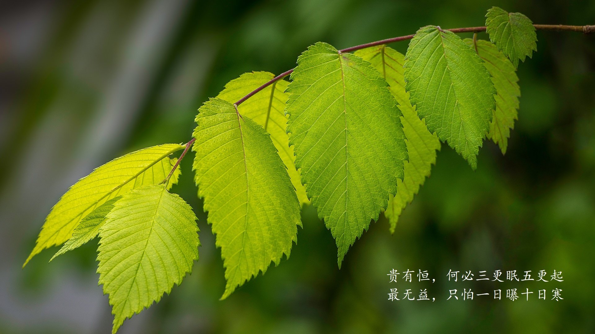 高校体育课程教学创新策略及实践探索，高校体育教学模式