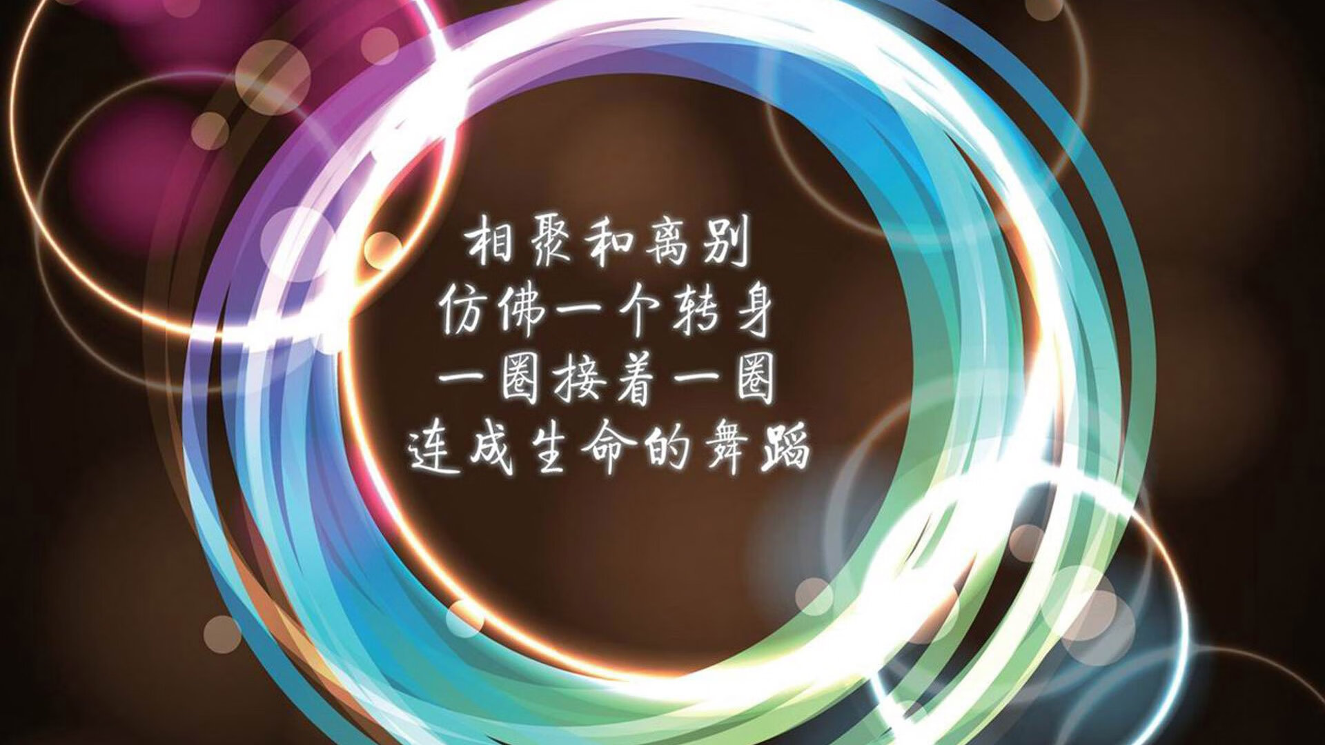 Popovici两次登顶，罗队获关注焦点，pop2.5罗